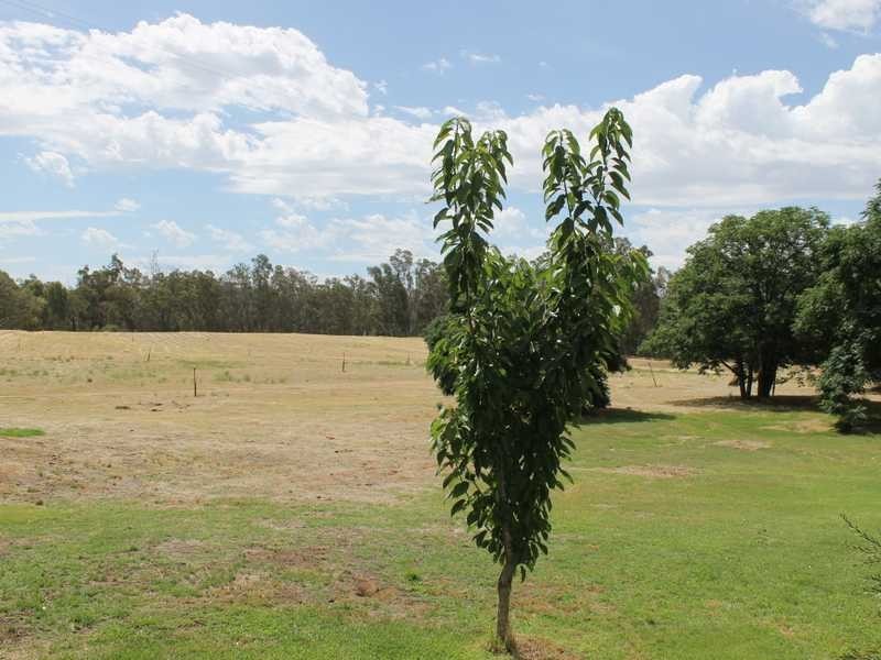 361 O’Dwyers Road, Echuca VIC 3564