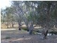 90 Rutley Crescent, Echuca VIC 3564