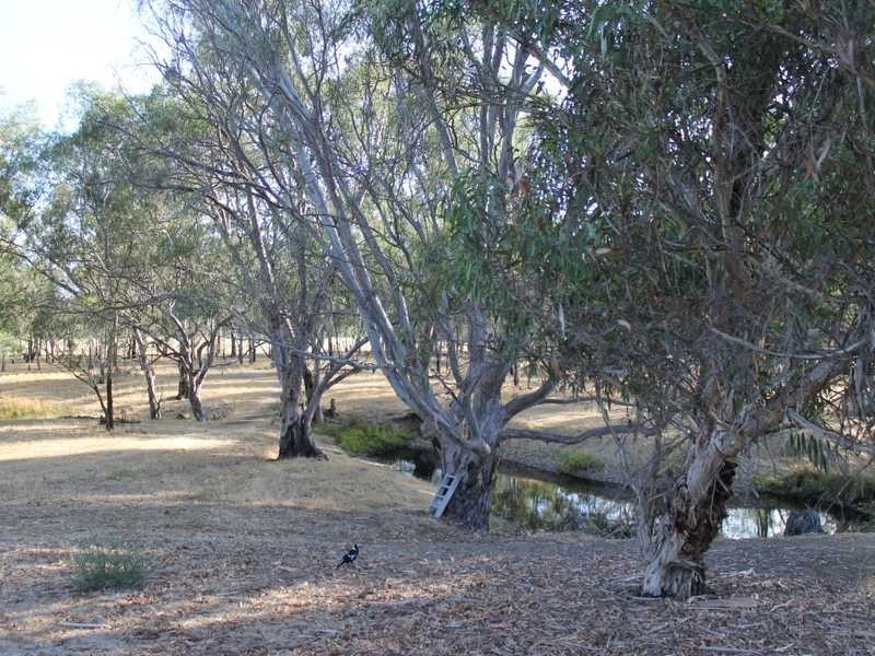 90 Rutley Crescent, Echuca VIC 3564