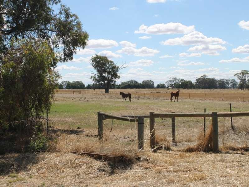 988 Echuca Mitiamo Road, Echuca VIC 3564