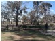 67 Old Barmah Road, Moama NSW 2731