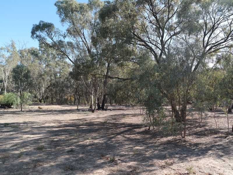 12 Pakenham Street, Echuca VIC 3564