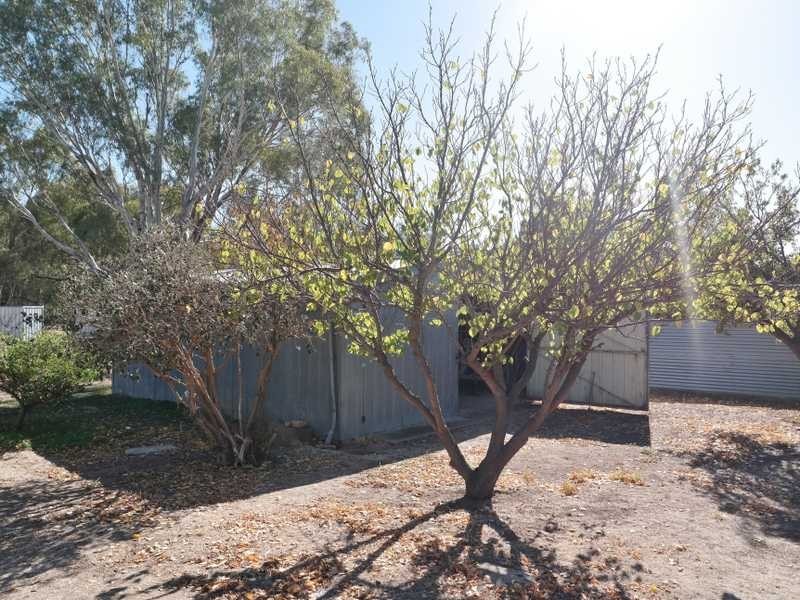 12 Pakenham Street, Echuca VIC 3564