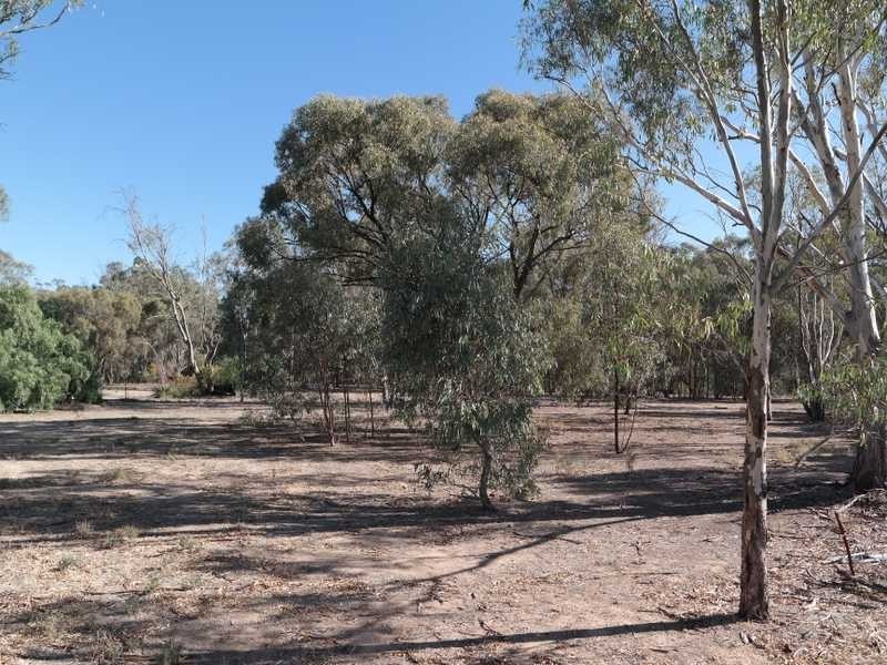 12 Pakenham Street, Echuca VIC 3564