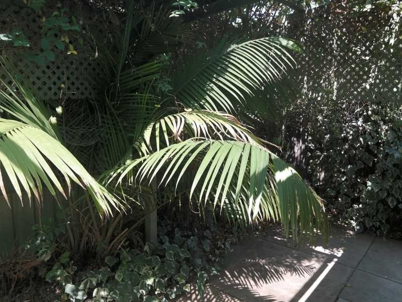 2/71 Hare Street, Echuca VIC 3564