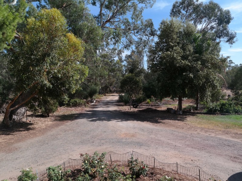 38 Edge of Town, Echuca VIC 3564