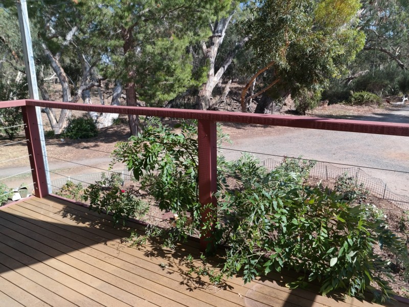 38 Edge of Town, Echuca VIC 3564