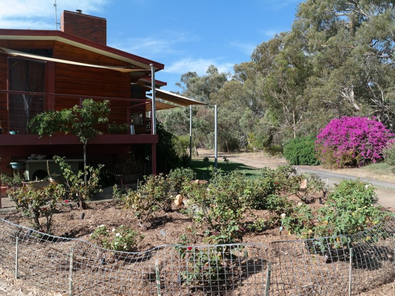 38 Edge of Town, Echuca VIC 3564