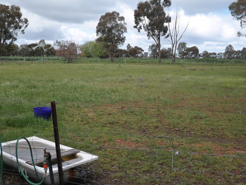 244 Farley Road, Echuca VIC 3564