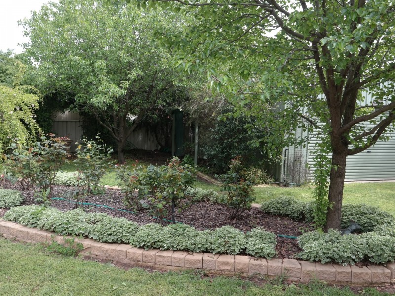 1 Shetland Drive, Moama NSW 2731