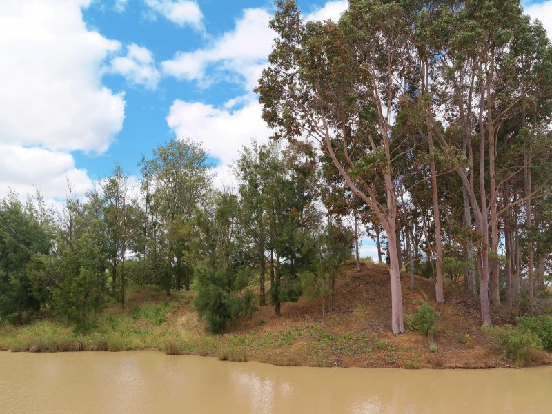 37 Kingfisher Drive, Moama NSW 2731