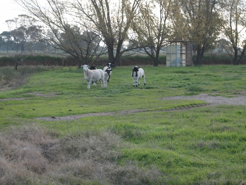 2269 Curr Road, Tongala VIC 3621