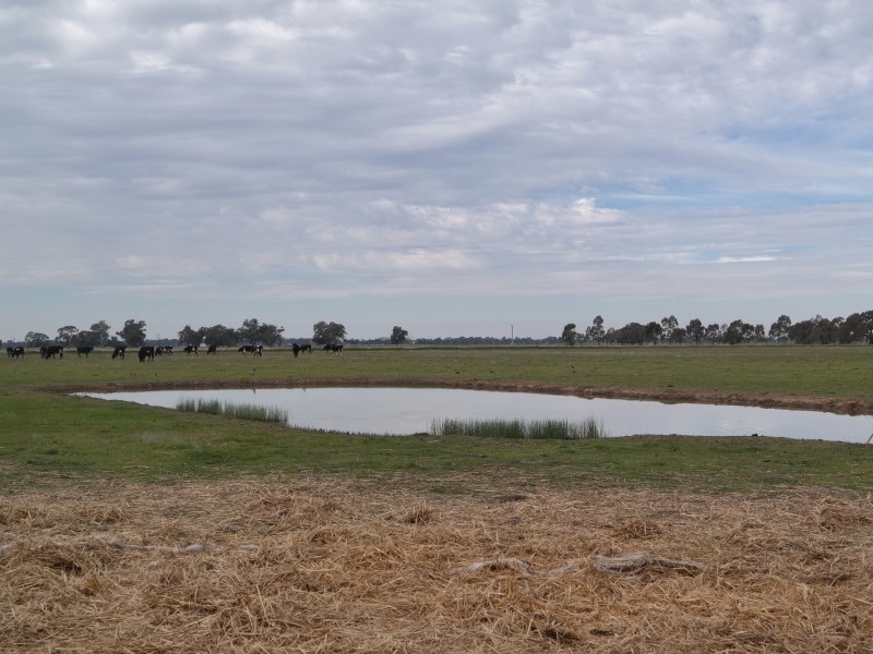 Lot 2/1277 Mount Terrick Road, Echuca VIC 3564