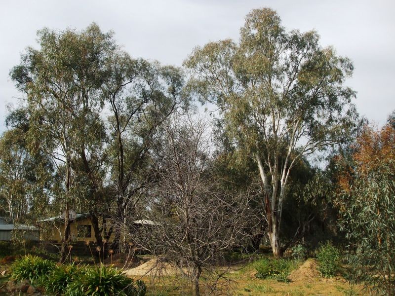 45 Moama Street, Echuca VIC 3564