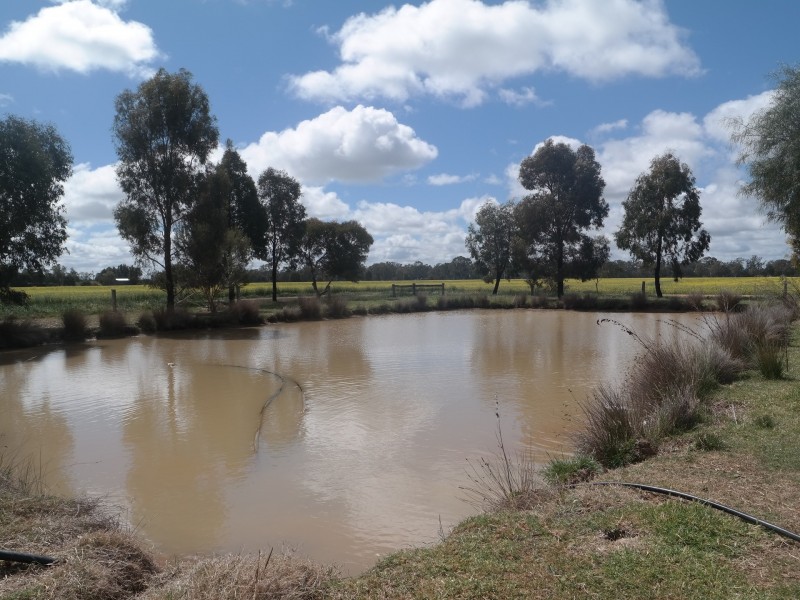 7640 Northern Highway, Echuca VIC 3564