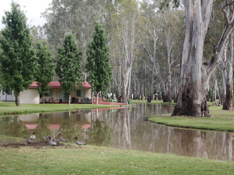 Cabin 26, Tarragon Road, Mathoura NSW 2710