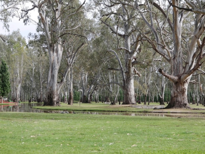 Cabin 26, Tarragon Road, Mathoura NSW 2710