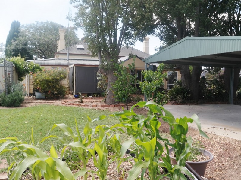 16 Echuca Road, Rochester VIC 3561