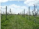 84 Carlsruhe-Central Road, Kyneton VIC 3444