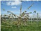 84 Carlsruhe-Central Road, Kyneton VIC 3444
