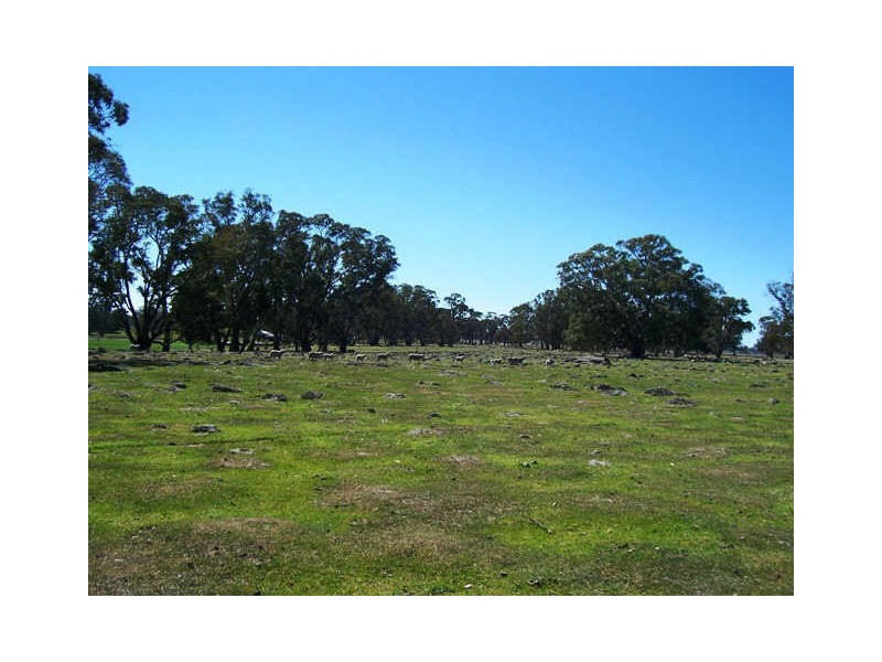 Redesdale Road, Redesdale VIC 3444