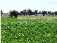 Redesdale Road, Redesdale VIC 3444
