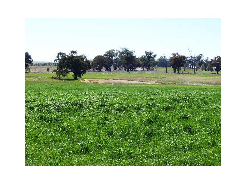 Redesdale Road, Redesdale VIC 3444