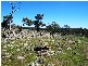 Redesdale Road, Redesdale VIC 3444
