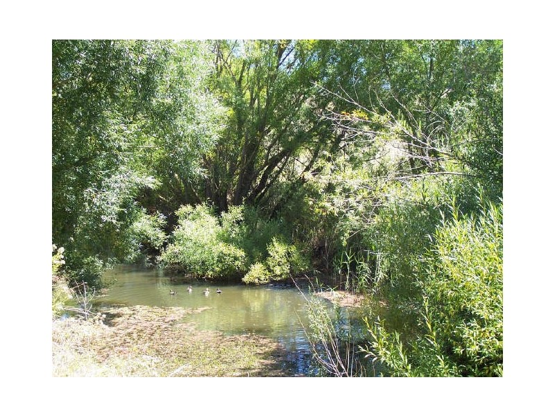 19 Mill Street, Kyneton VIC 3444