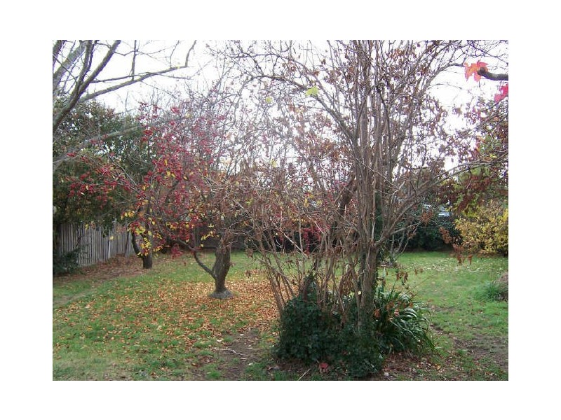 92 Piper Street, Kyneton VIC 3444