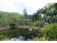 1 Hives Street, Gordonvale QLD 4865