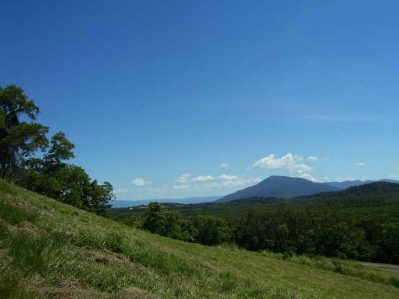 Campbell Terrace, Bingil Bay QLD 4852