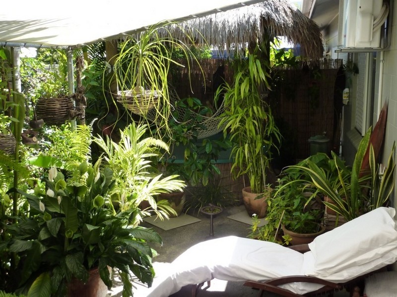 11/74 Swallow Street, Mooroobool QLD 4870