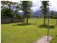 7 Vigilant Close, Bentley Park QLD 4869