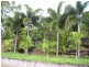 2 Goodfellow Court, Mooroobool QLD 4870