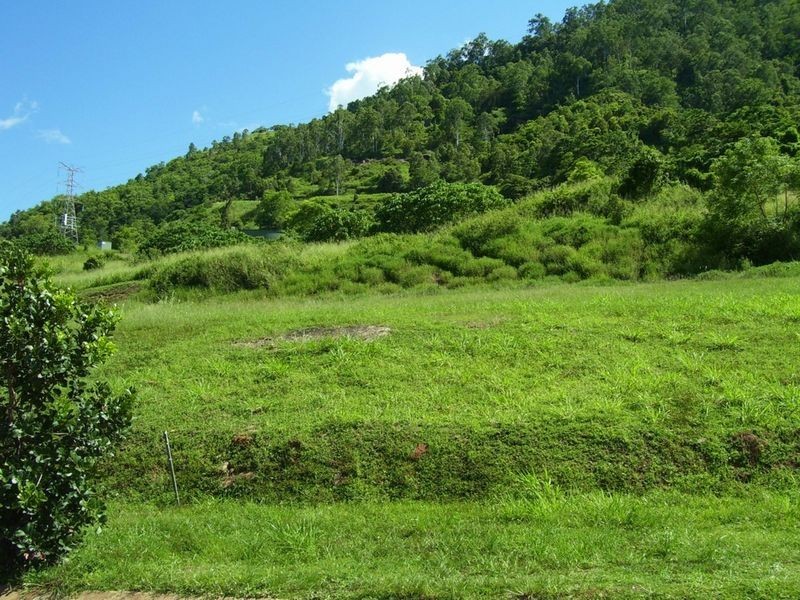 17 Trumpeter Street, Kanimbla QLD 4870