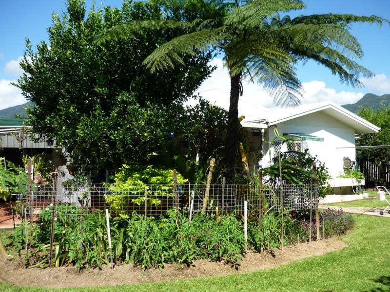 28 Resolution Drive, Bentley Park QLD 4869