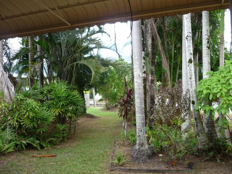 58 Downing Street, Earlville QLD 4870