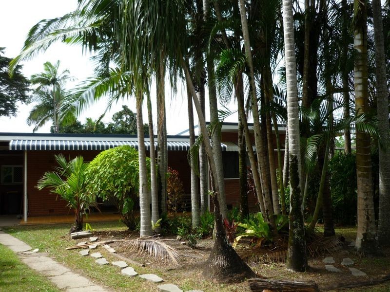 58 Downing Street, Earlville QLD 4870