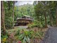 15 Rainforest Road, Edmonton QLD 4869
