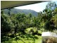 14 Mango Drive, Earlville QLD 4870