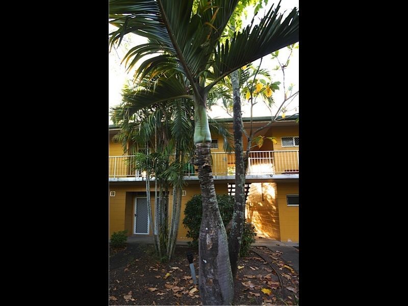 20/6 Chester Court, Manunda QLD 4870