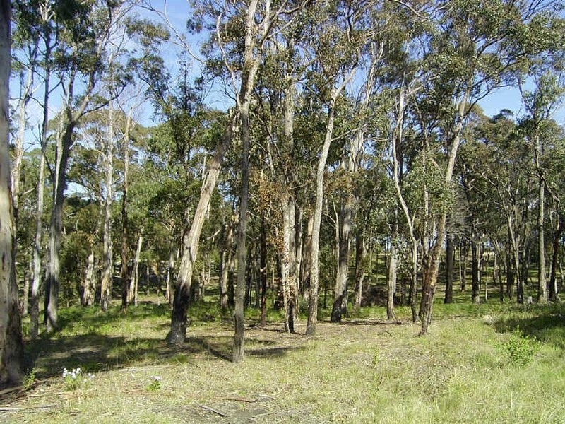 39 & 40/ Princes Highway, Lakes Entrance VIC 3909