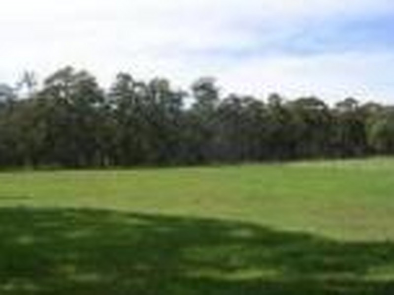Vogrigs Road, Toorloo Arm VIC 3909