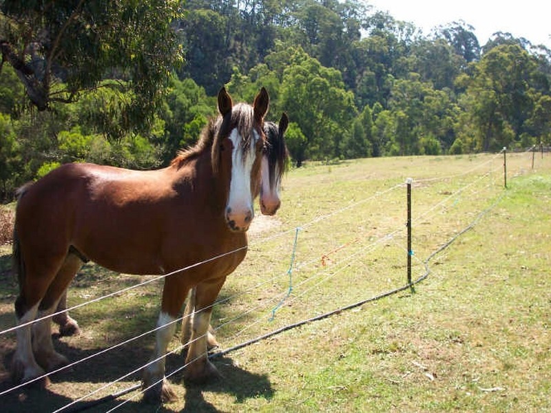 1/ Toorloo Arm Road, Toorloo Arm VIC 3909
