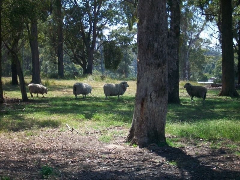 2400 Princes Highway, Nowa Nowa VIC 3887