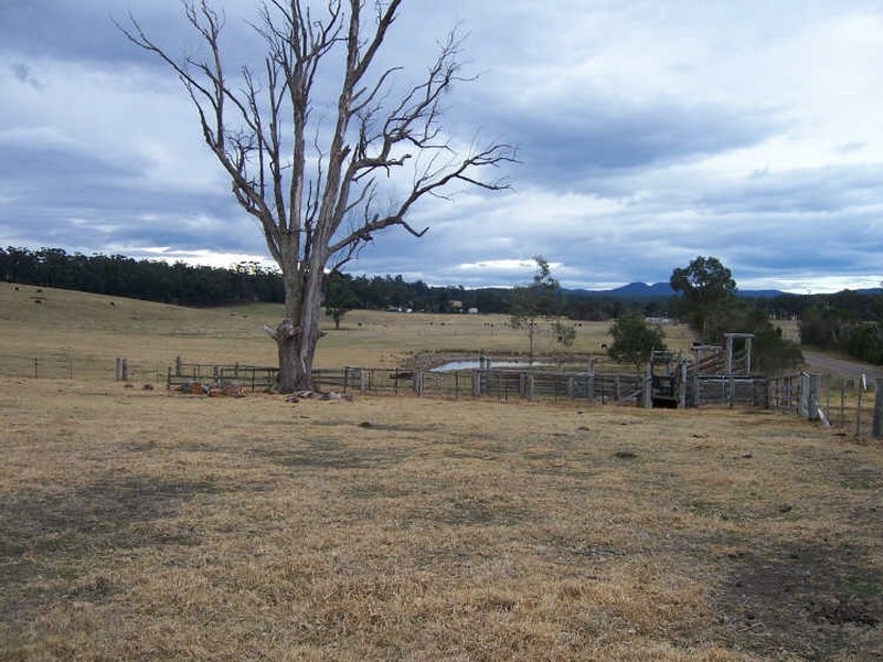 527 Wairewa Road, Wairewa VIC 3887