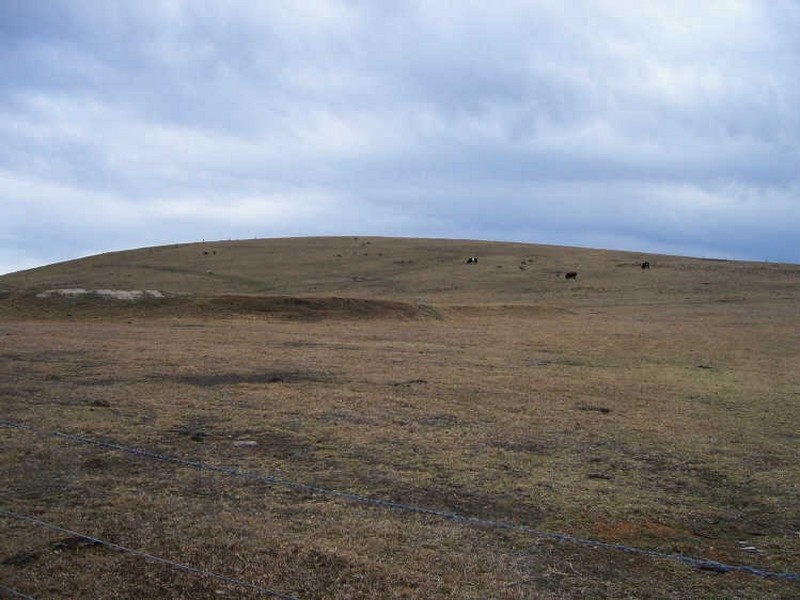 527 Wairewa Road, Wairewa VIC 3887