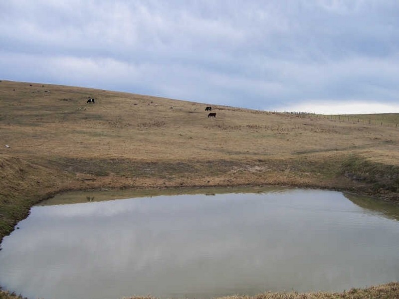 527 Wairewa Road, Wairewa VIC 3887