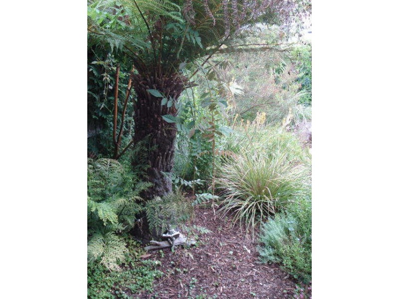 Lake Tyers Beach VIC 3909